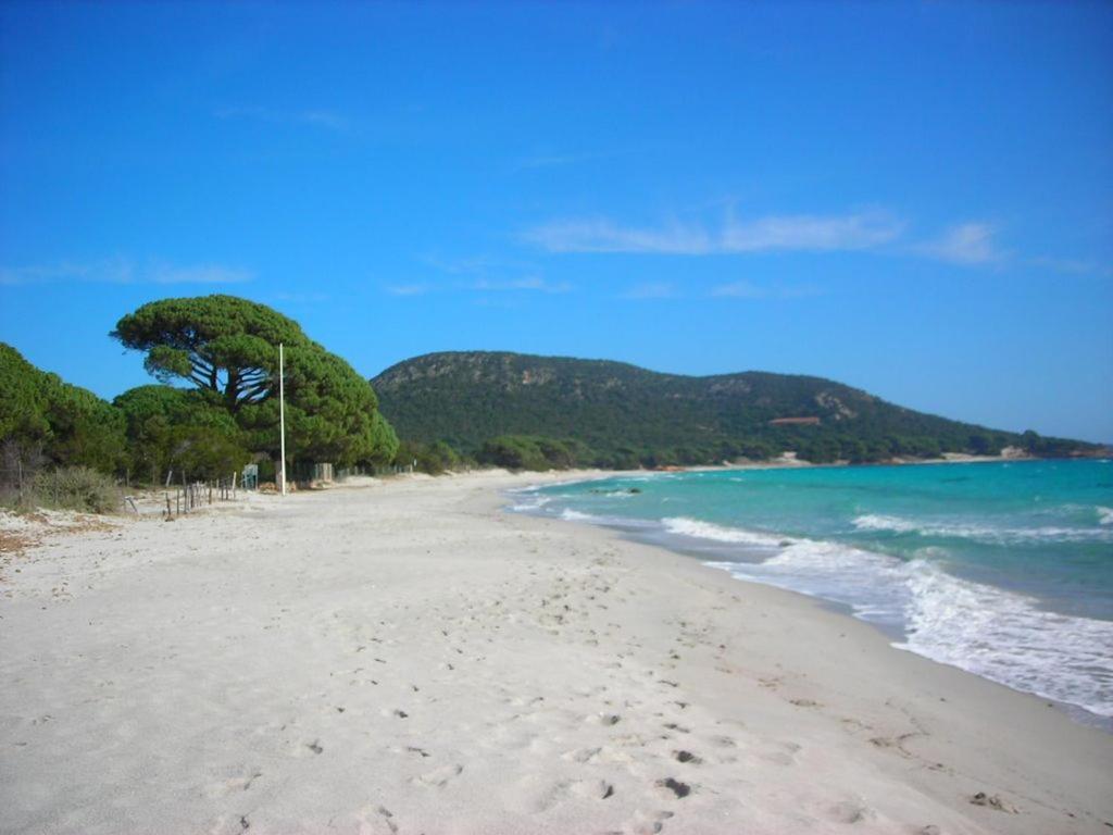 Villa Largia Porto Vecchio - A 5 Min Des Plages De Palombaggia - Calme- Climatisation Luaran gambar